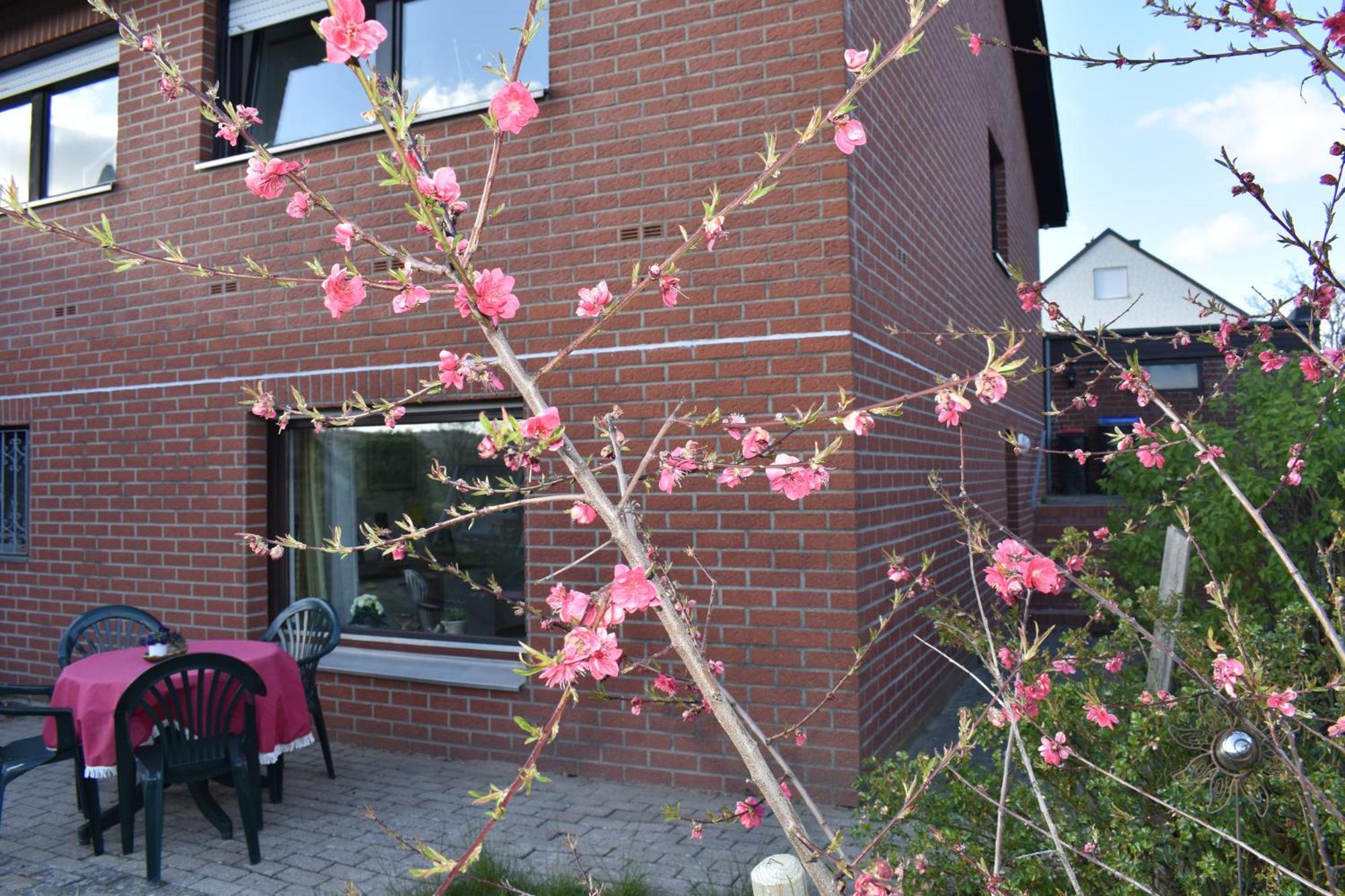 Ferienwohnung Jannack Fuer 5 Personen In Bad Muender 代斯特山麓巴特明德 外观 照片